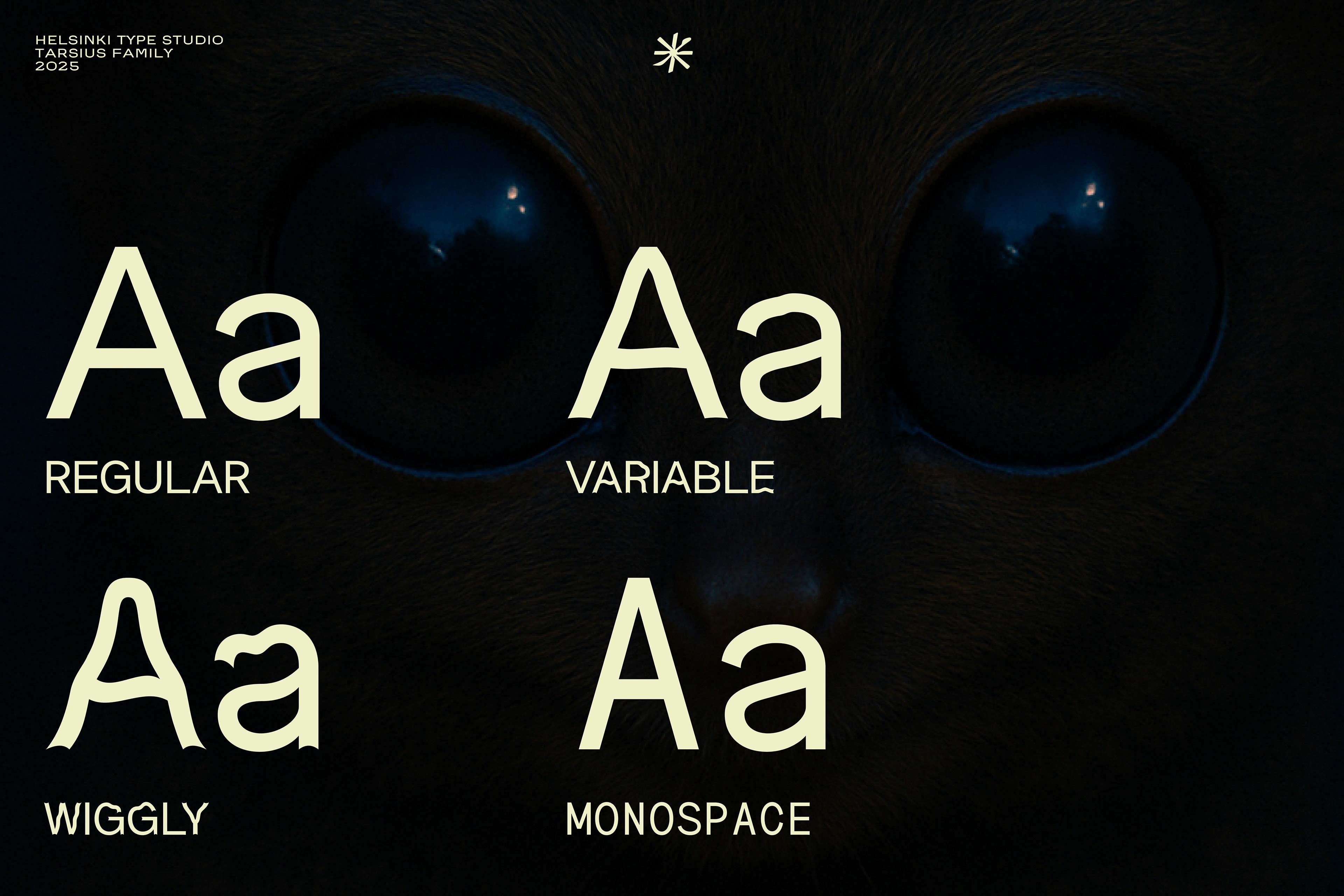 Tarsius retail font